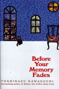 BEFORE YOUR MEMORY FADES