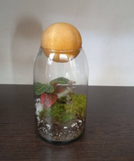 تراریوم مدل اورانوس سایز کوچک