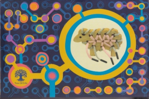 دست ورزی گوسفند