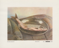 کارت پستال نقاشی محمدعلی ترقی جاه