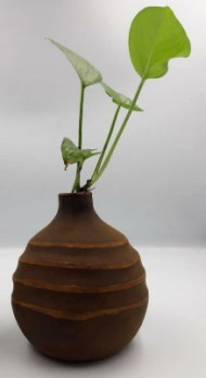 گلدان گرد - تنگ (با گل)