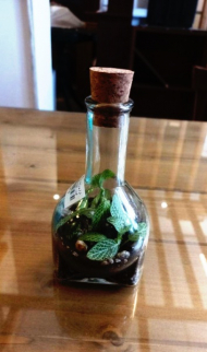 تراریوم شکم دار