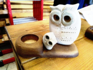 جاشمعی تک بزرگ با بچه جغد