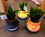 گلدان سفالی بزرگ