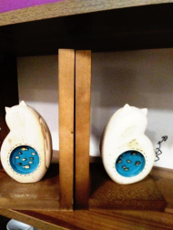 نگهدارنده کتاب با گربه ماهی به دل